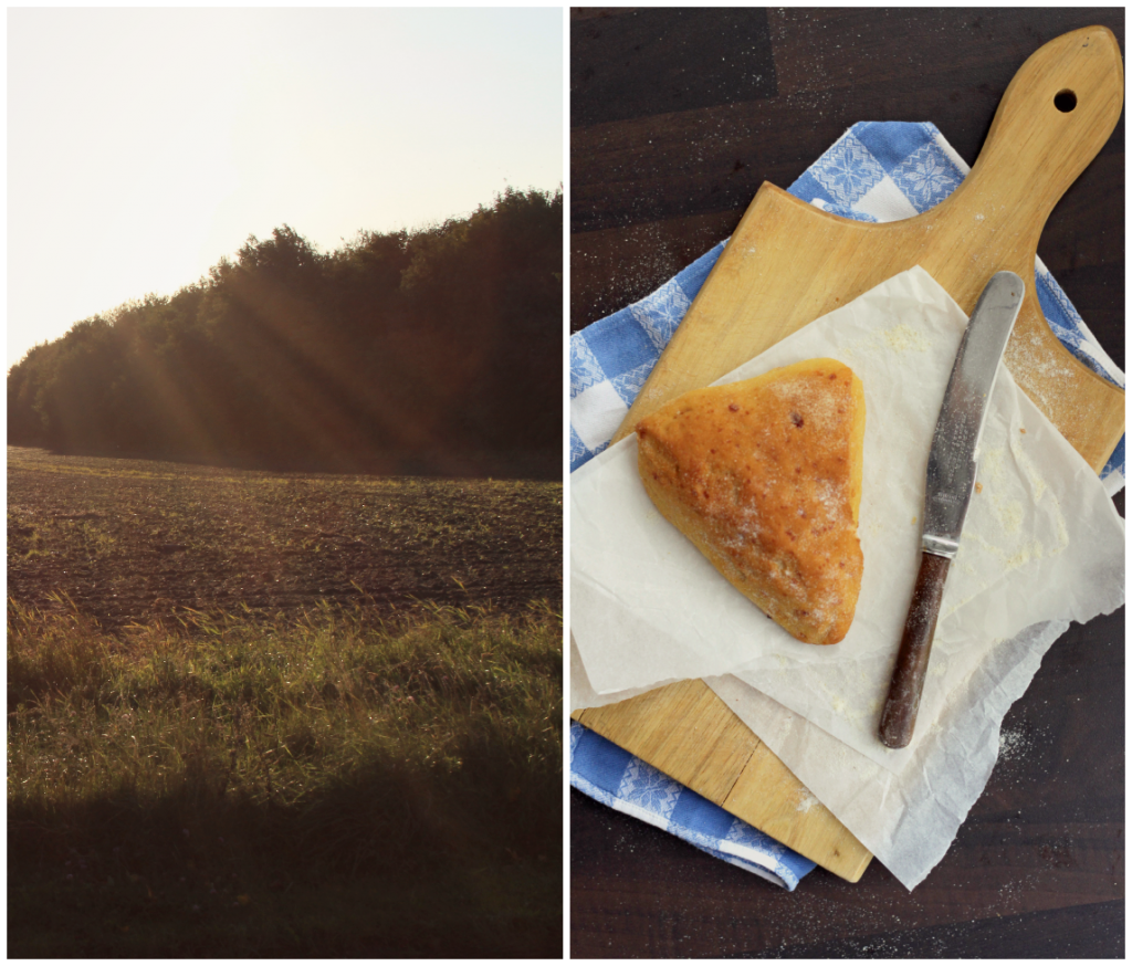 majsstykker - cheddar-efterår-morgen-brød (2)