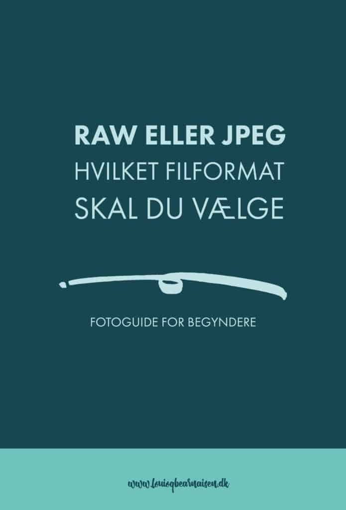 RAW ELLER JPEG - HVILKET FILFORMAT SKAL DU VÆLGE