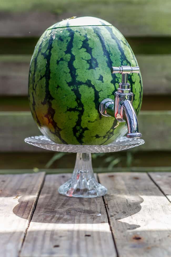 vandmelon dispenser - vandmelon keg - vandmelonsaft - drink - drinkbowle