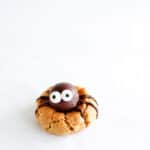 edderkop cookies - spider cookies - peanutbutter - halloween - opskrift