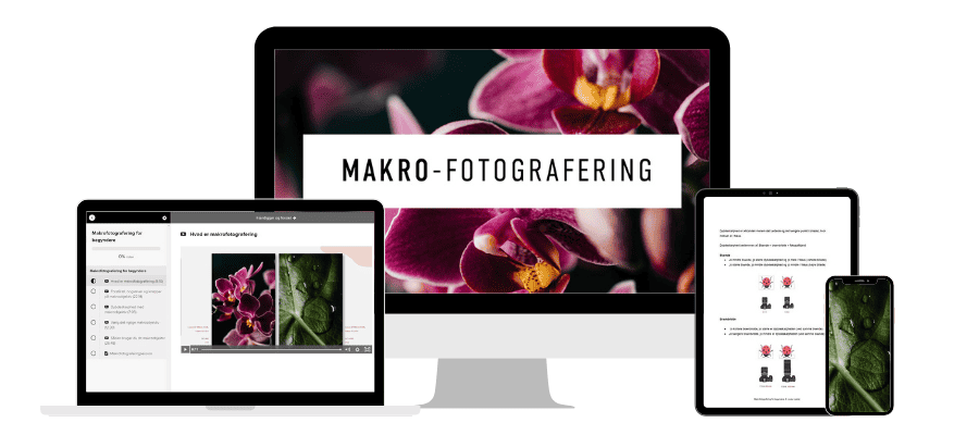 Makro fotografering
